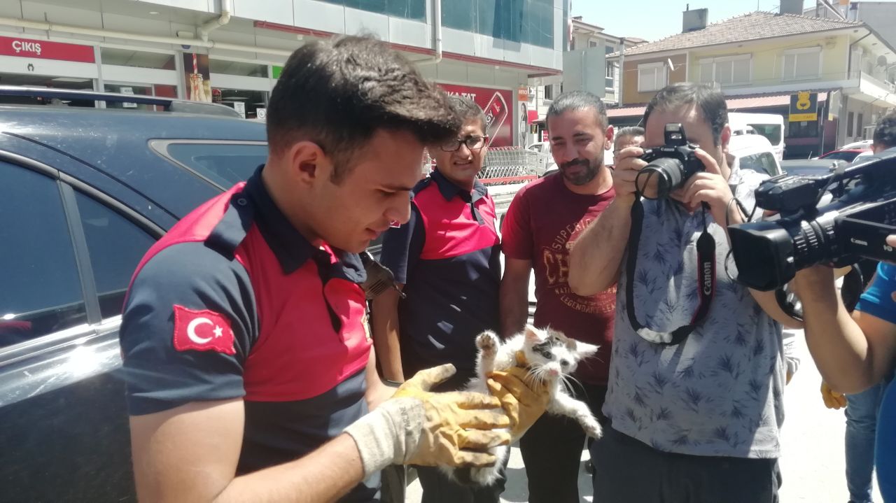 Cipin kapısına sıkışan yavru kediyi itfaiye ekipleri kurtardı