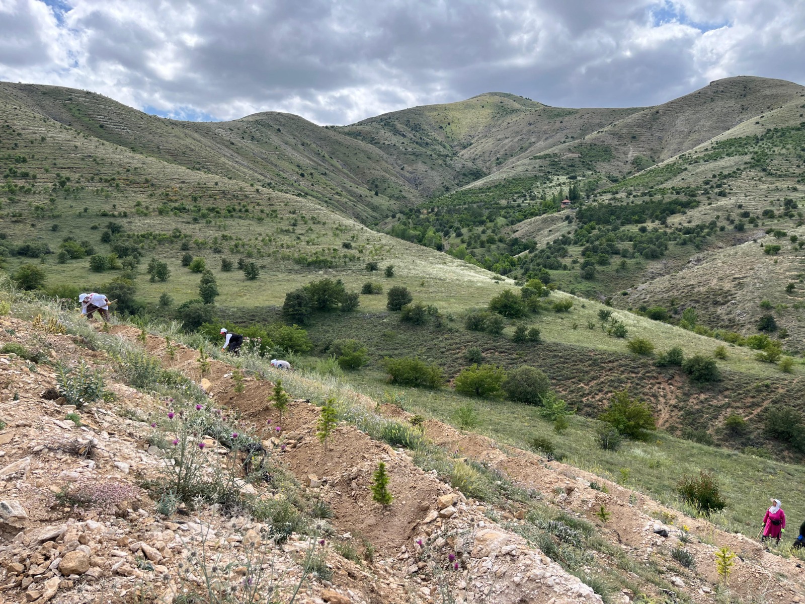 Erzincan dağlarına kadın eli değdi