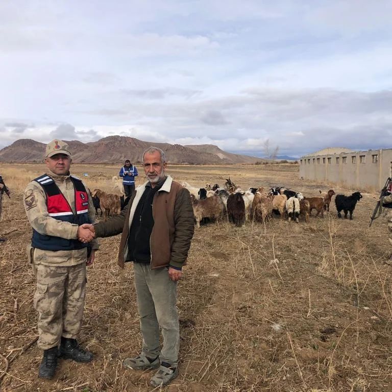 Kayıp 50 Küçükbaş Hayvan Drone İle Bulundu