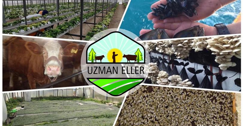 Kırsal Kalkınmada Uzman Ellerin Desteklenmesi 2023 yılı Uygulama Esasları Yayımlandı