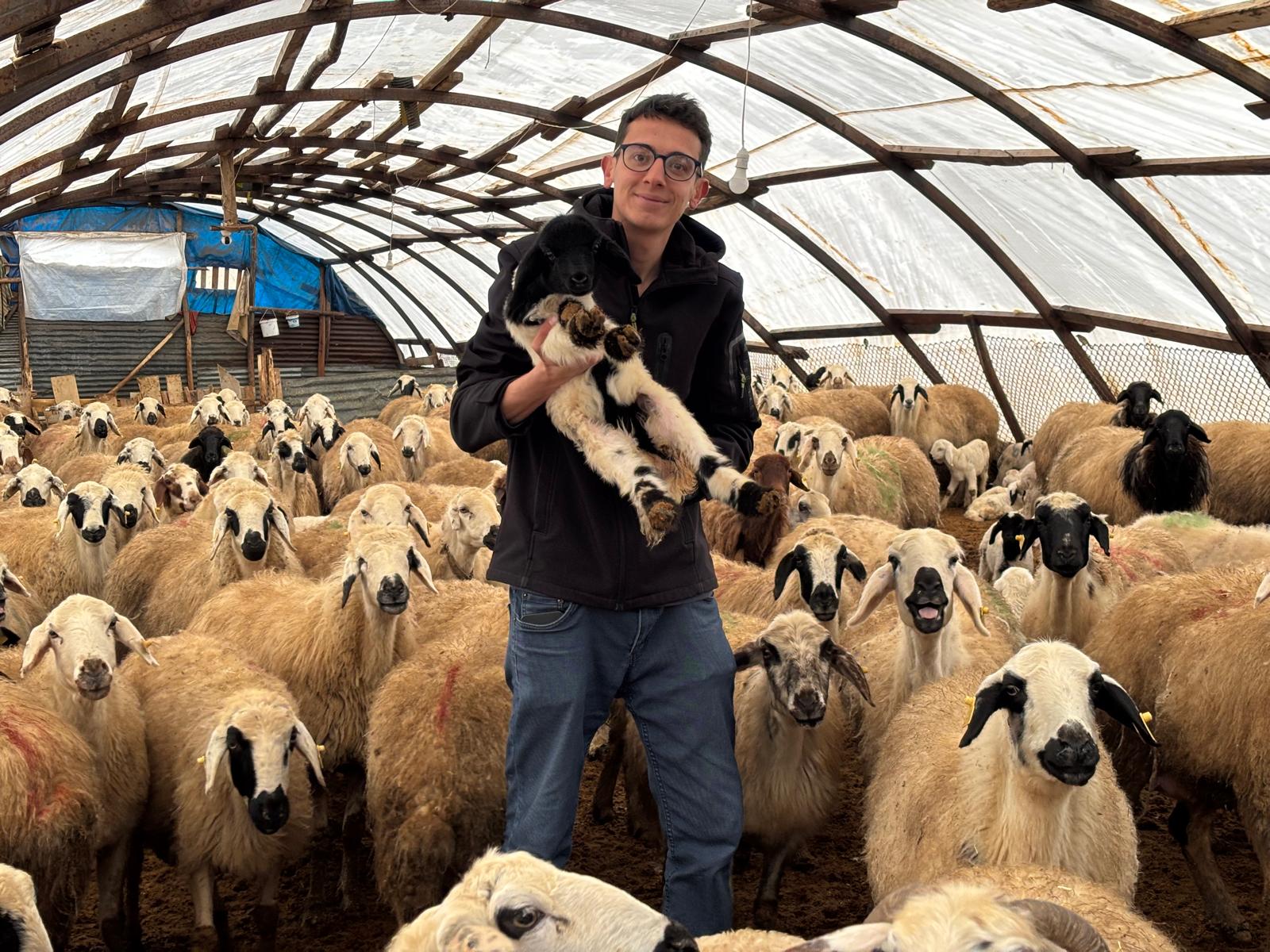 Erzincan’da Küçükbaşta Büyük Destek! Başvurular Başlıyor
