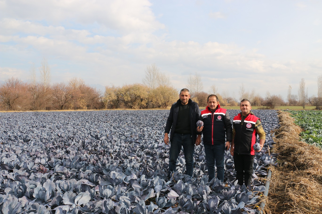 Kış Ortasında Sebze Hasadı