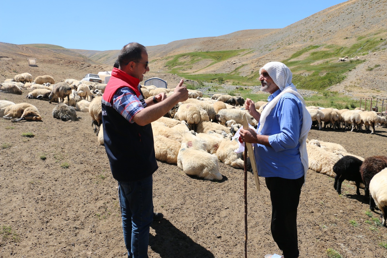 Erzincan’da 2400 metrede üretim sürüyor