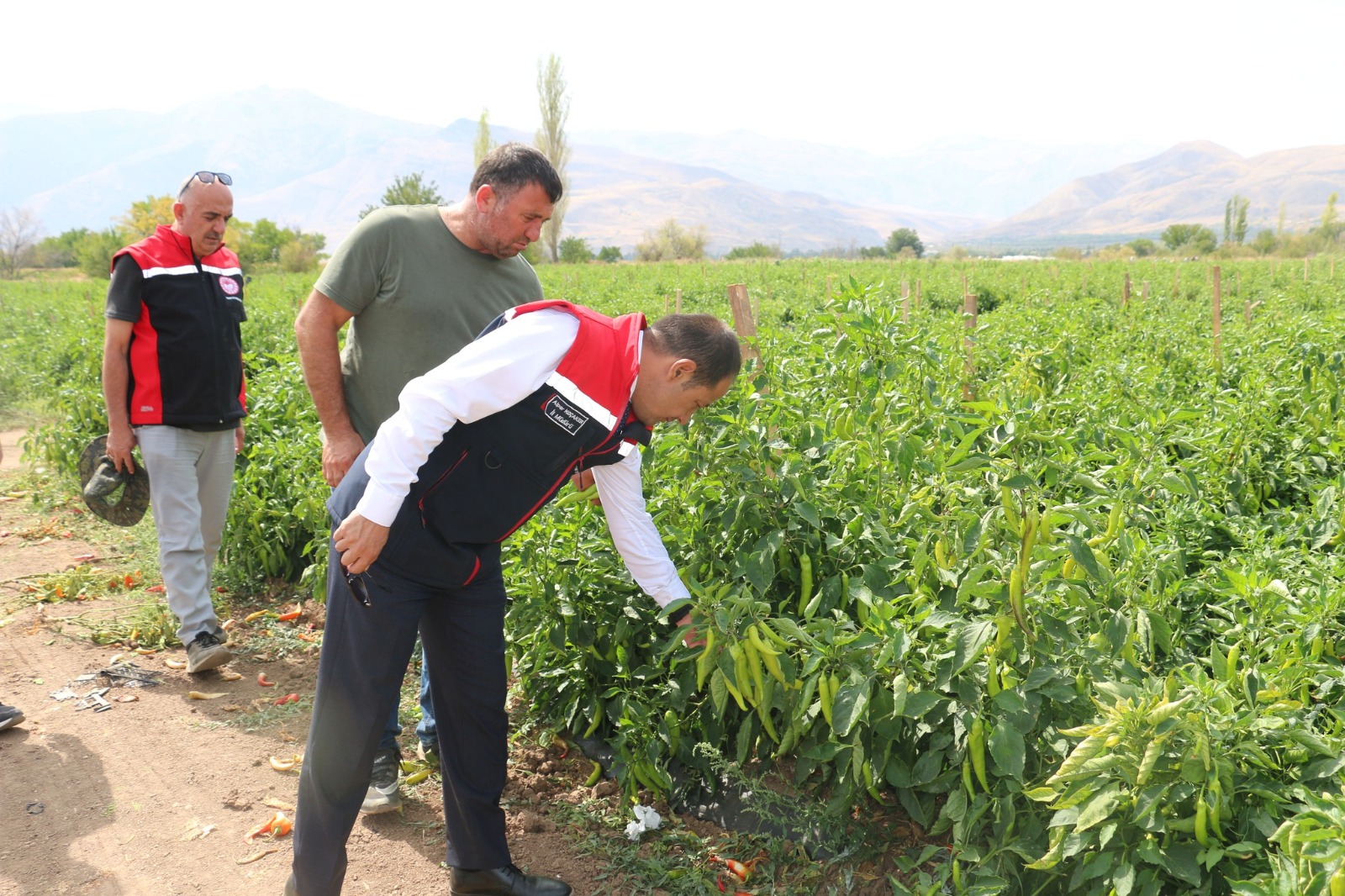 1 milyon 100 bin adet dikti, günde 80 kişi çalıştırıyor