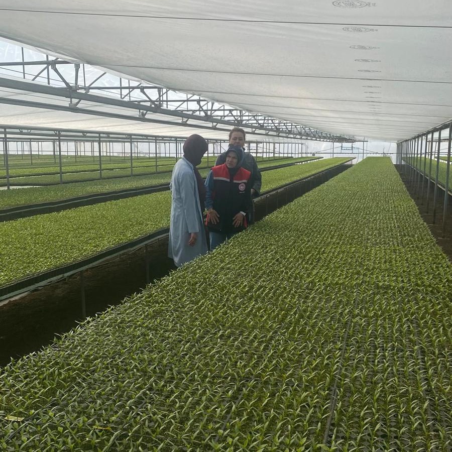 Seralarda fide kontrolü