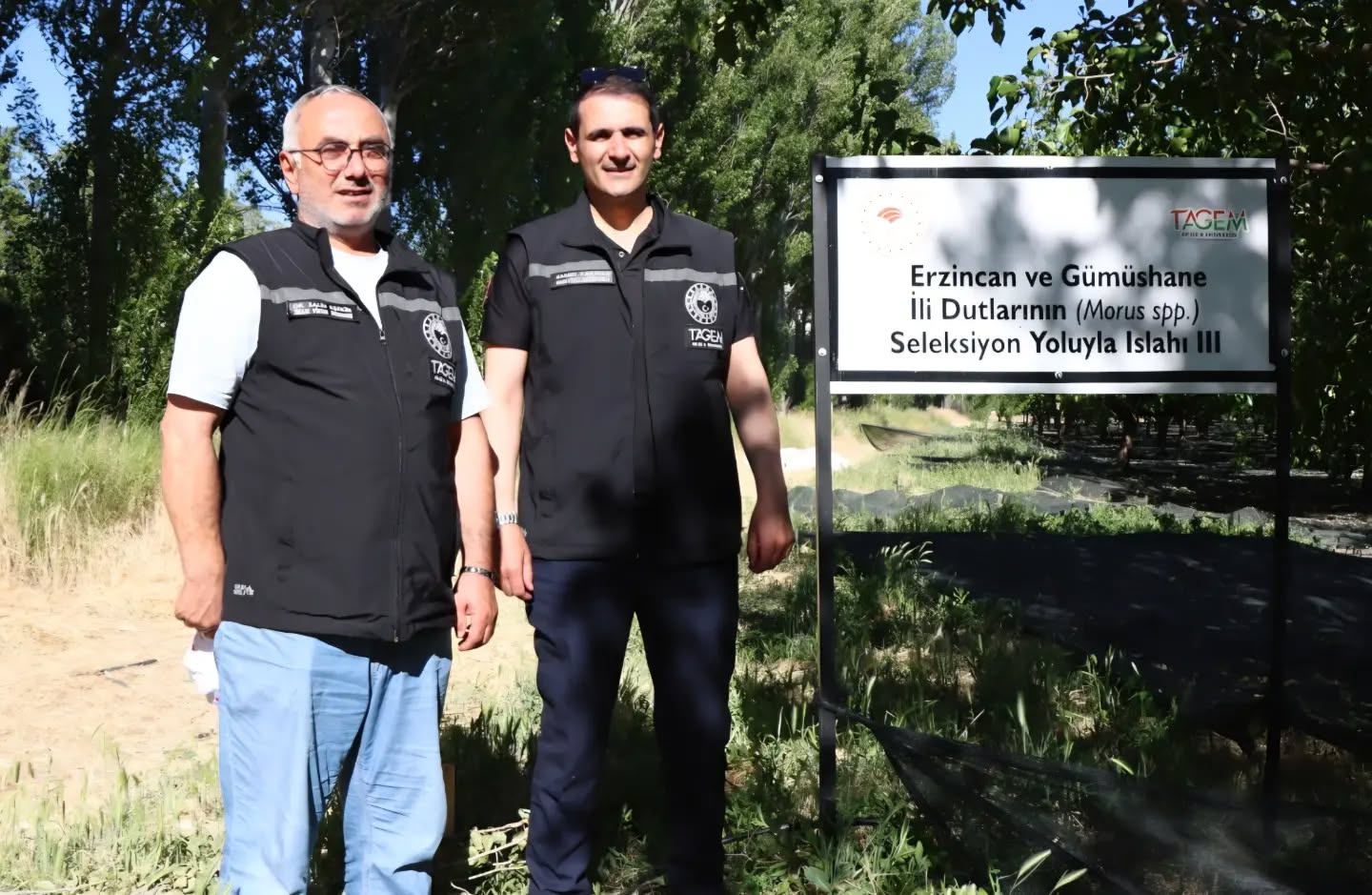 ERZİNCAN’DA TARIMSAL ATILIM: DUT ISLAHI ÇALIŞMALARI YERİNDE İNCELENDİ!