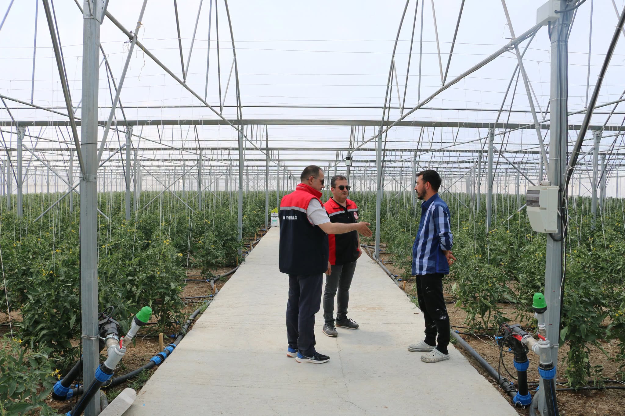 Erzincan’da Modern Seracılığa Yakın Takip: İl Müdürü Koçaker Sahada!