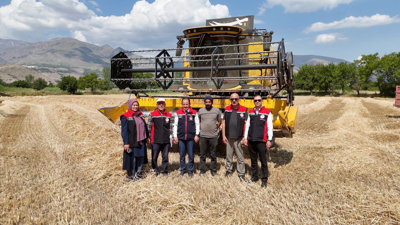 Erzincan’da Buğday Hasadı Bereketi