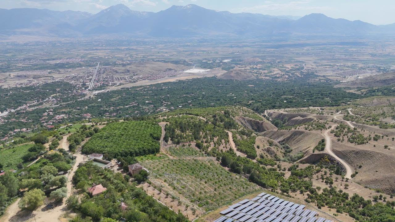 Erzincan’ın Yüksek Rakımlı Kiraz Bahçelerinde Hasat Heyecanı