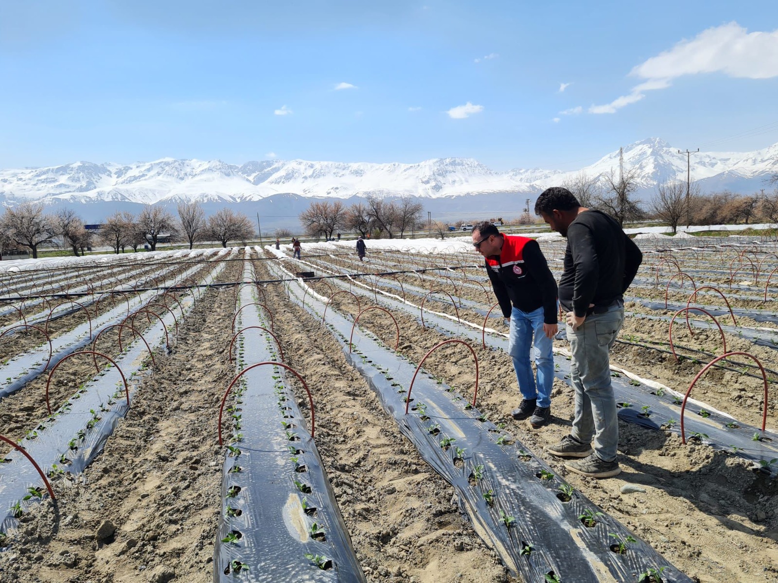 100 bin fide toprakla buluştu