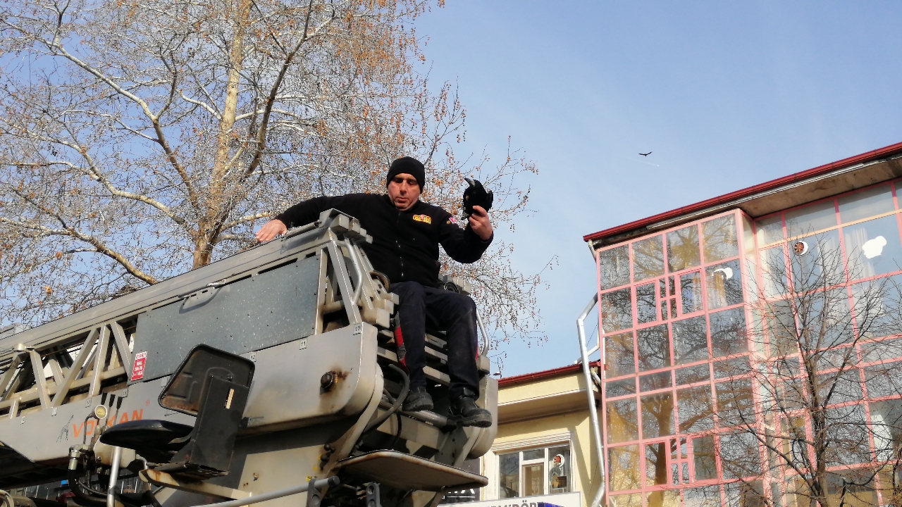 İtfaiye ekiplerinden karga kurtarma operasyonu