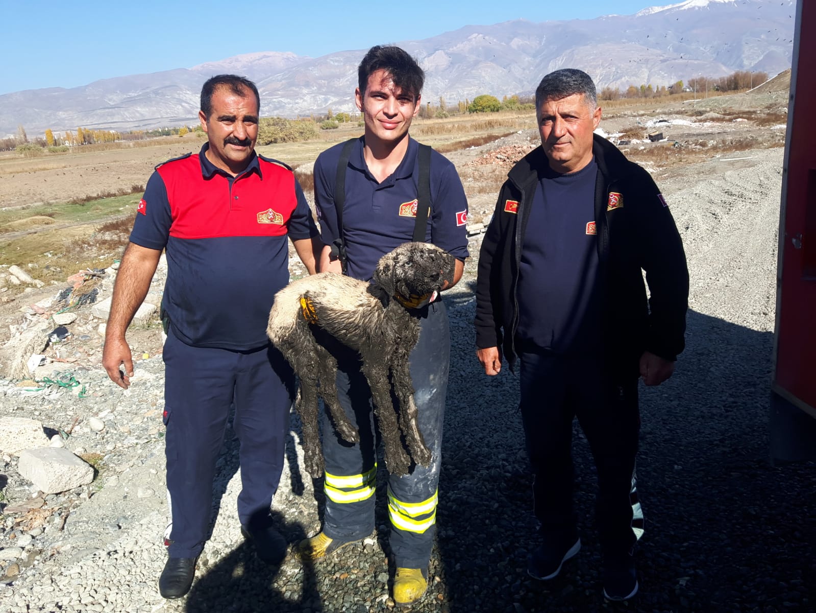 Bataklığa Saplanan Yavru Köpek İtfaiye Ekipleri Tarafından Kurtarıldı