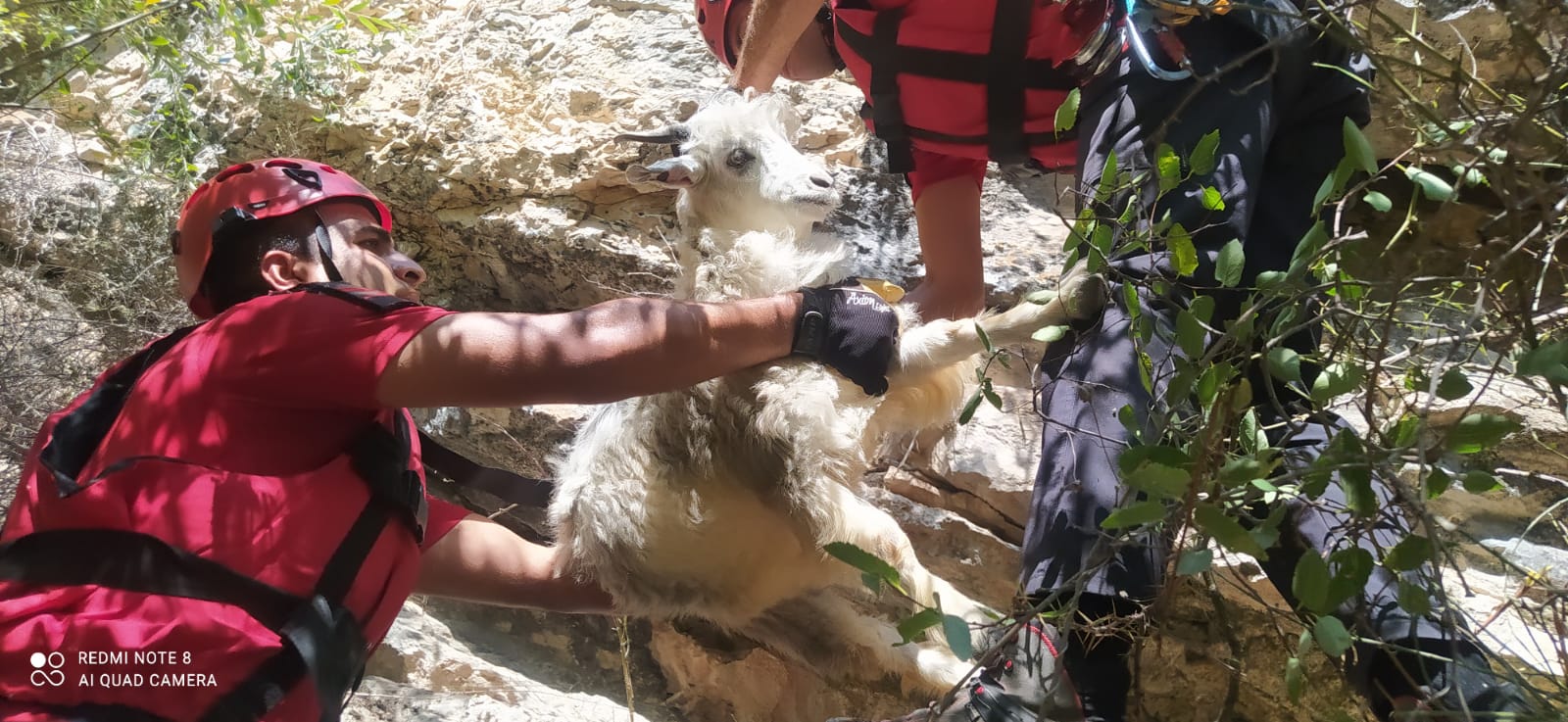 Mahsur Kalan Keçiler Raftingciler, AFAD ve JAK Tarafından Kurtarıldı