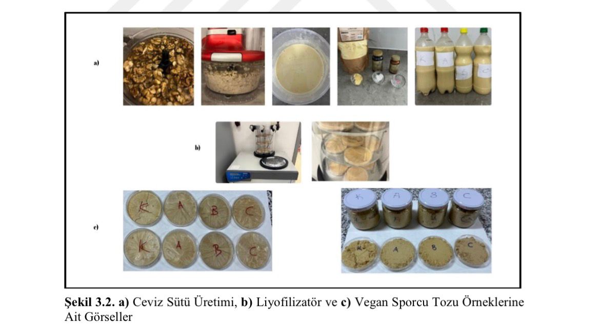 ERZİNCAN’DA VEGAN SPORCULAR İÇİN YENİLİKÇİ PROTEİN TOZU GELİŞTİRİLDİ
