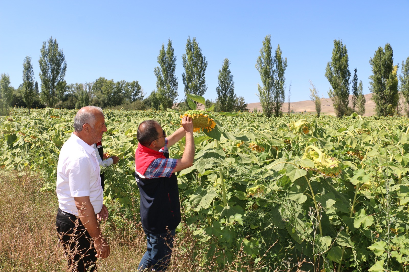 ÇKS Başvuruları 31 Aralık’ta Sona Eriyor