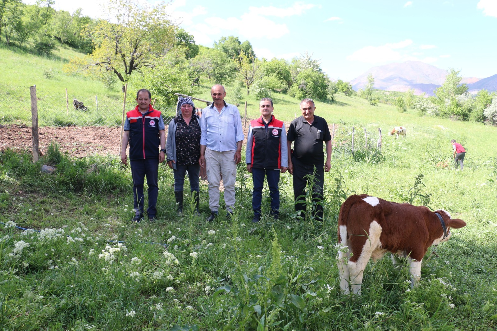 Gürcistanlı Nino, Erzincan tarımına renk katıyor