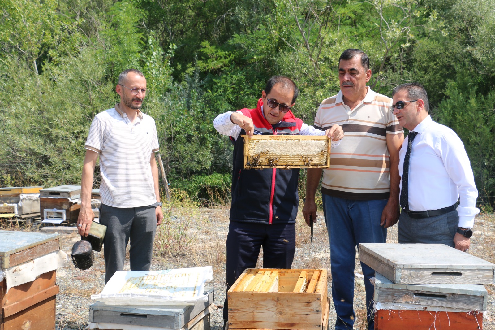 Erzincan Geven Balı, coğrafi işaret tescili