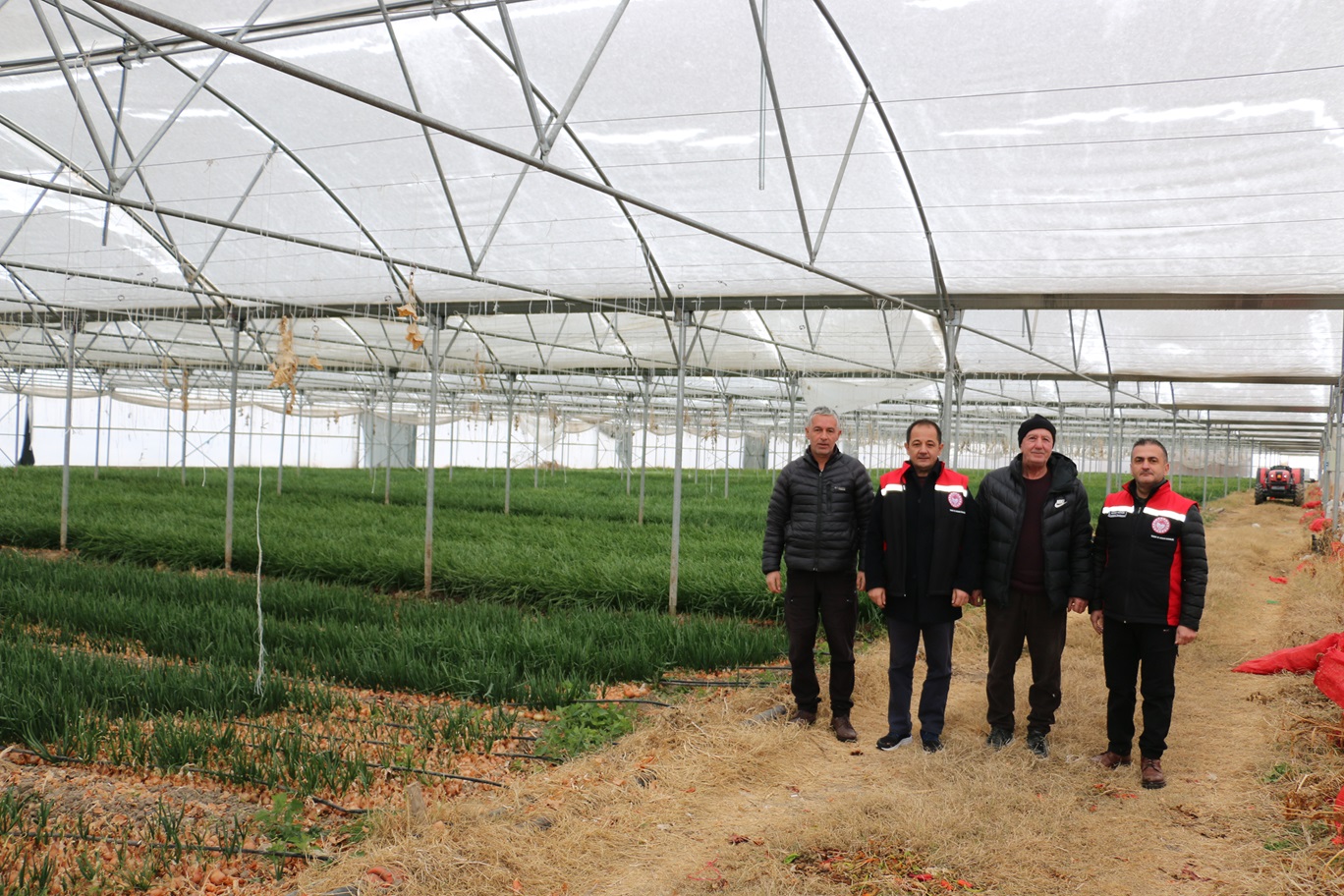 Kar Altında Seralarda Üretim Sürüyor