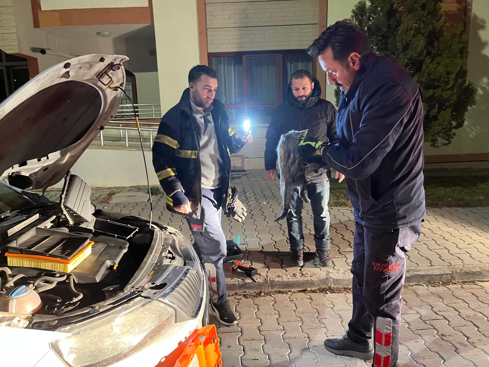 Araç motoruna sıkışan kediyi itfaiye ekipleri kurtardı
