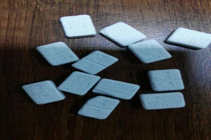 Erzincan’da Bonzai ve Ecstasy Operasyonu