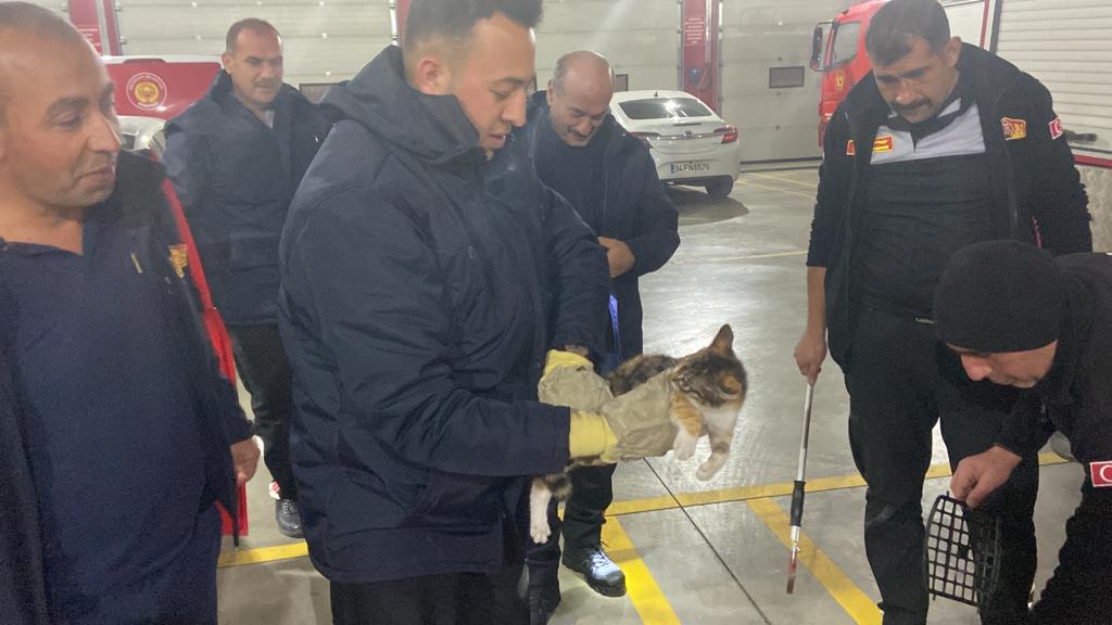 Veterinere Gitmemek İçin Aracın Torpidosuna Girdi