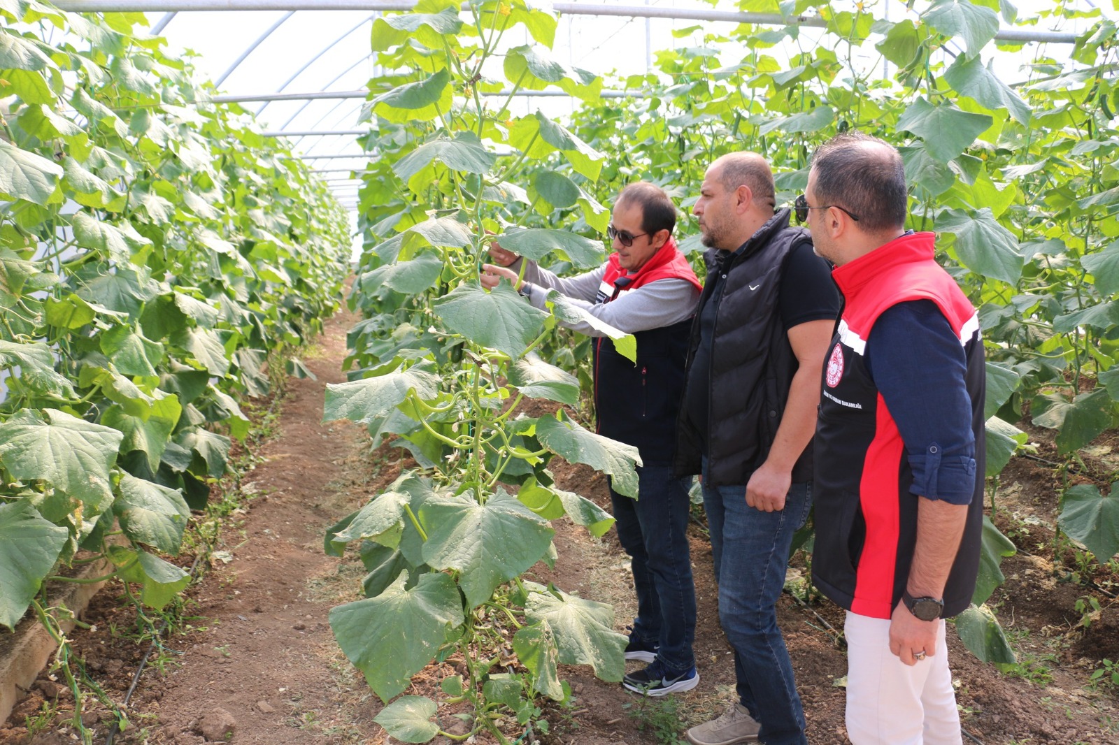 Erzincan’da üretime paralel olarak Pazar seçenekleri araştırılıyor
