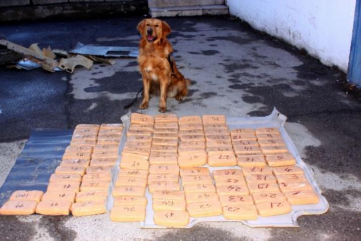 51 Kilo 867 Gram Toz Eroin Ele Geçirildi