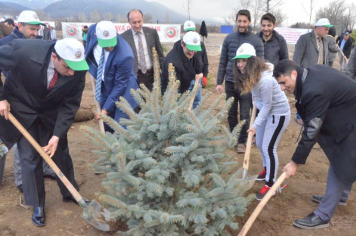 Yüzlerce Fidan Toprakla Buluştu