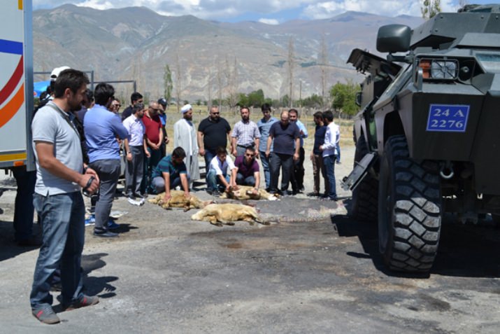 Gönüllü Gençlerden, Güvenlik Güçlerine Kurban