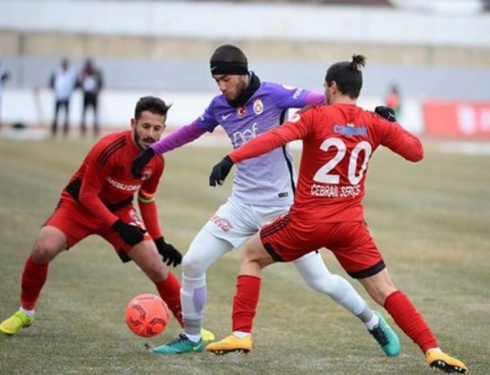 Aslan Erzincan'da Dondu