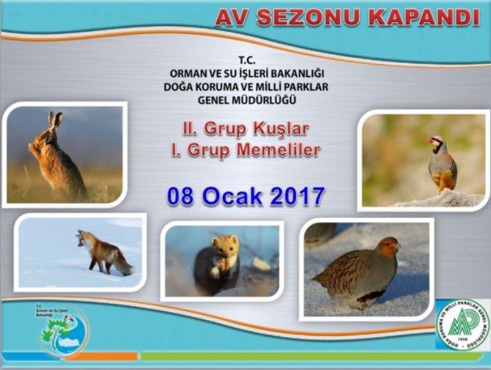 Keklik Ve Tavşan Avı Sona Erdi