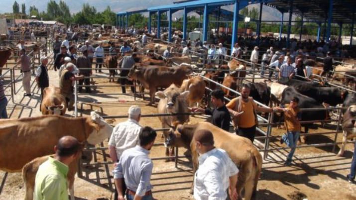 Kurbanlıklar Alıcı Bekliyor