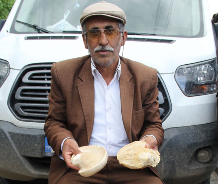 Mantar Fiyatları, Et Fiyatlarını Solladı