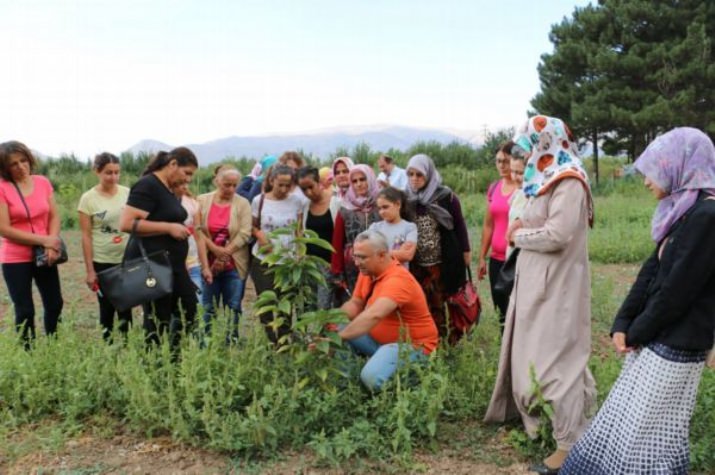 Mutfaktan Bahçeye