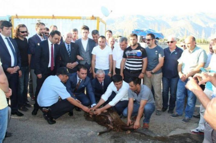 Ülkü Ocaklarından Emniyete Kurban