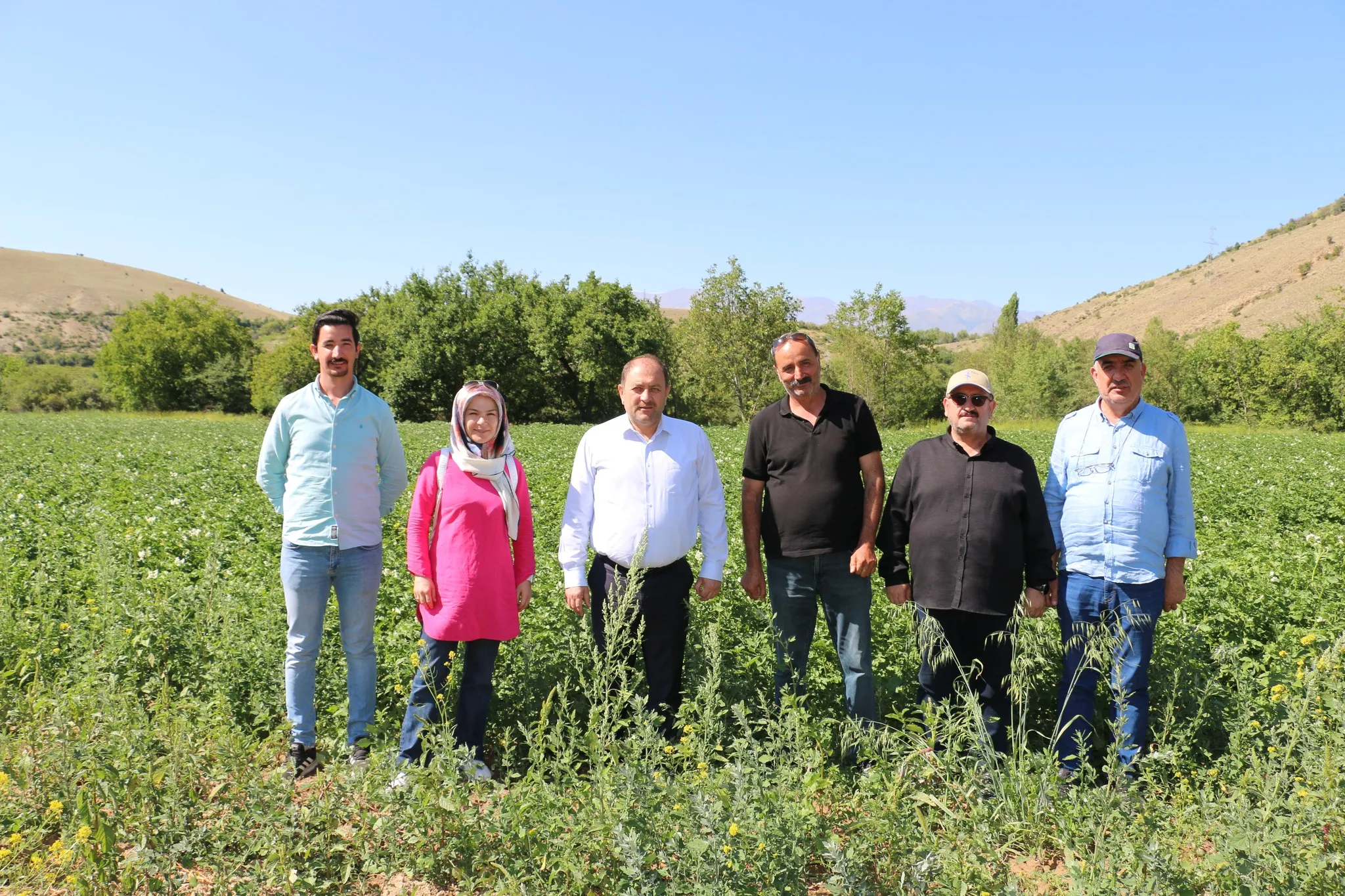 Patates Projesi Başarıyla Uygulanıyor