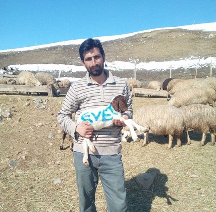 İlginç Referandum yorumu