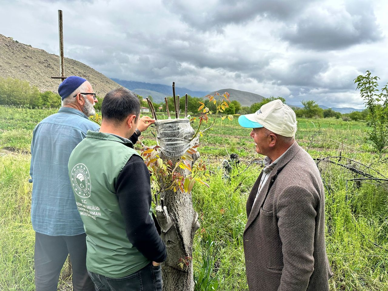 Sahayı Adım Adım Dolaşıyorlar