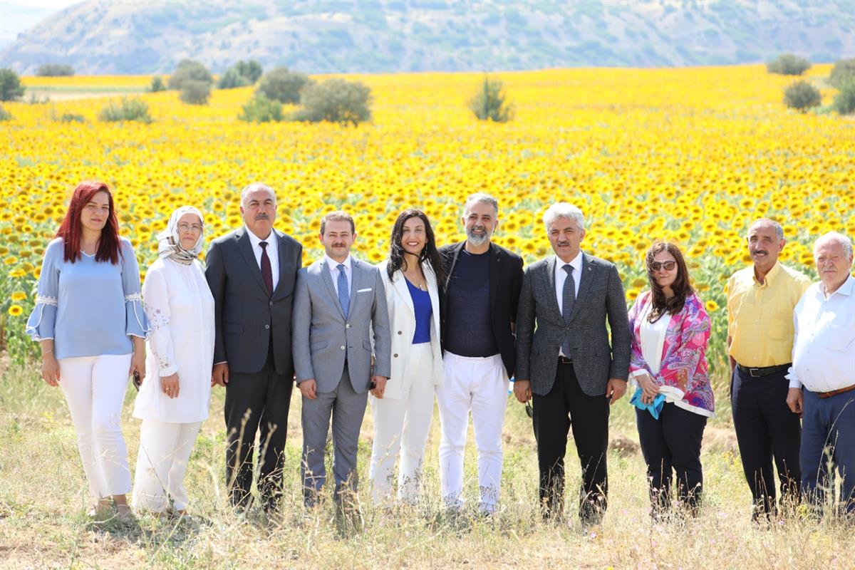 1800 Dönüm Kurak Araziyi Ayçiçeği Tarlasına Çevirdi