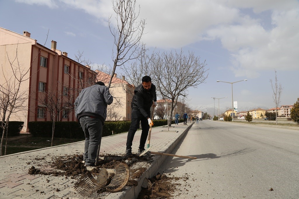 Ağaçlandırma çalışmaları devam ediyor