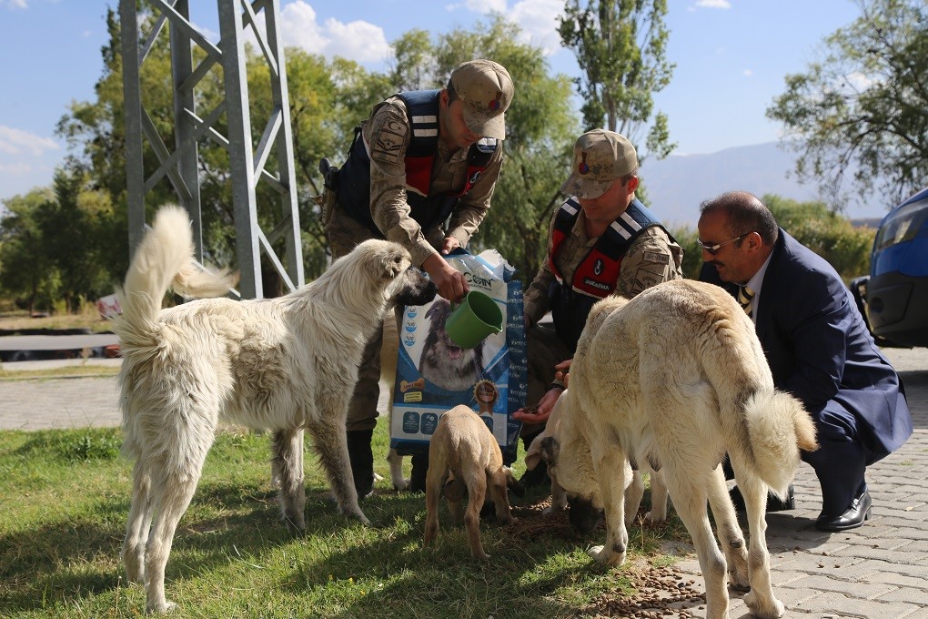 Erzincan Belediyesi Sokak Hayvanlarını Unutmuyor