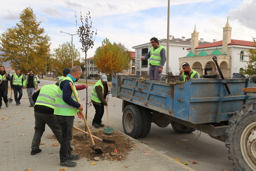 Erzincan Belediyesinden Ağaç Seferberliği