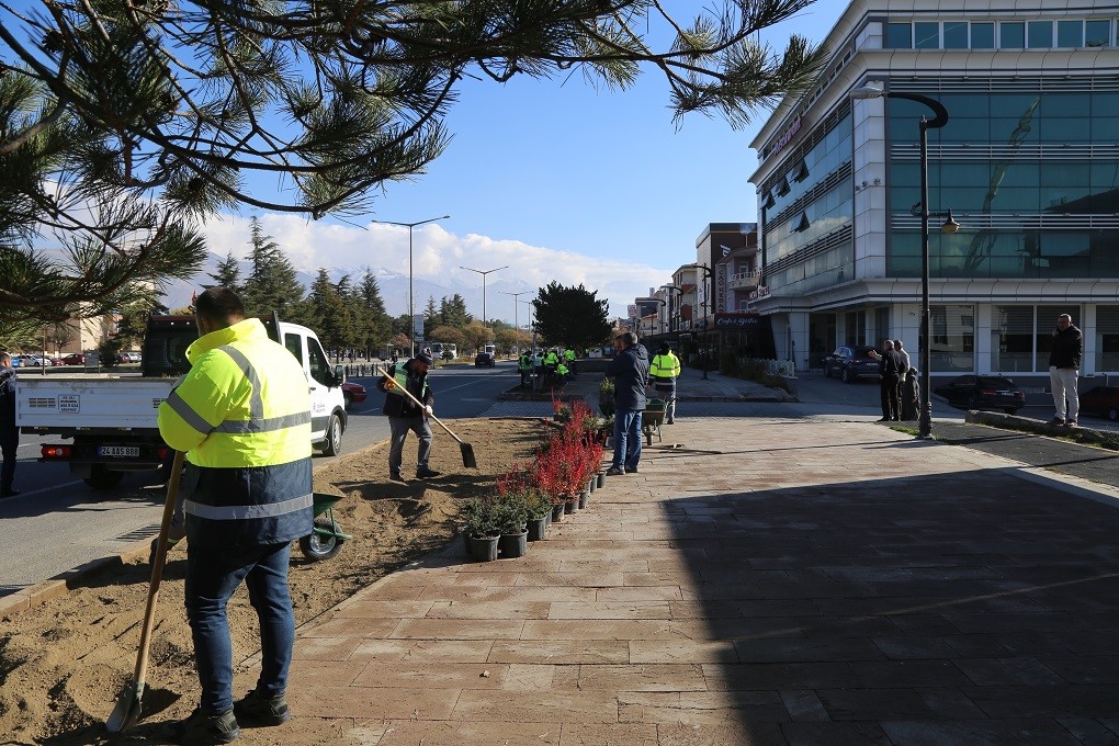Daha Yeşil Bir Erzincan İçin