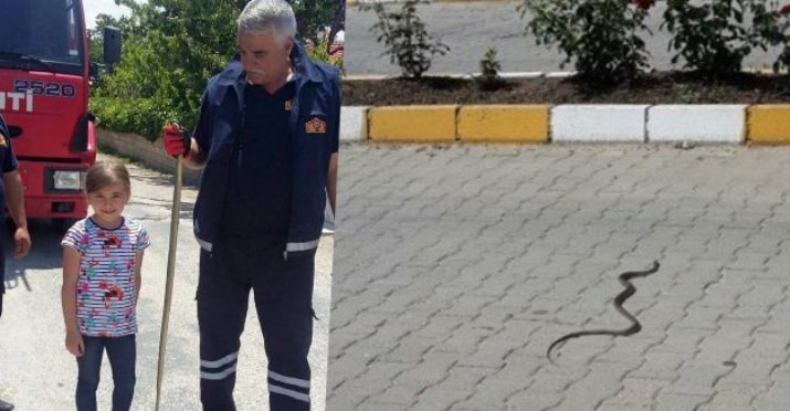 Erzincan'da yılan operasyonu