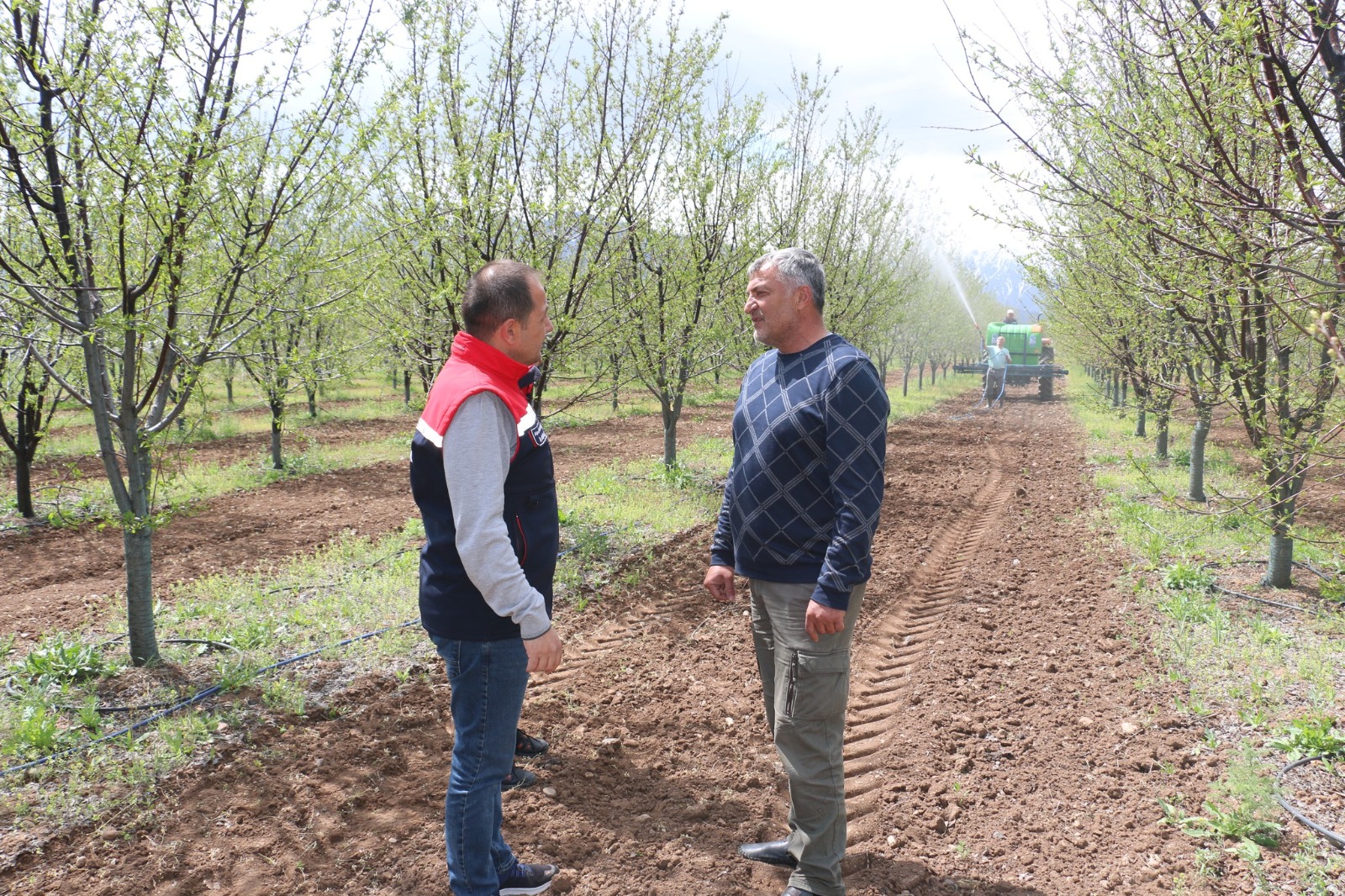 Erzincan’da 600 Ağaçlık Modern Bahçe